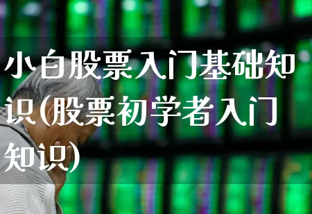 小白股票入门基础知识(股票初学者入门知识)_https://www.hhem8.com_深交所_第1张