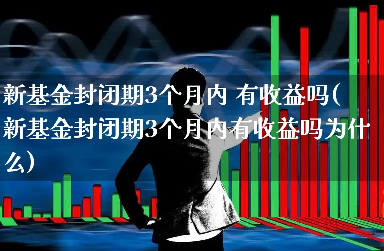 新基金封闭期3个月内 有收益吗(新基金封闭期3个月内有收益吗为什么)_https://www.hhem8.com_科创板_第1张