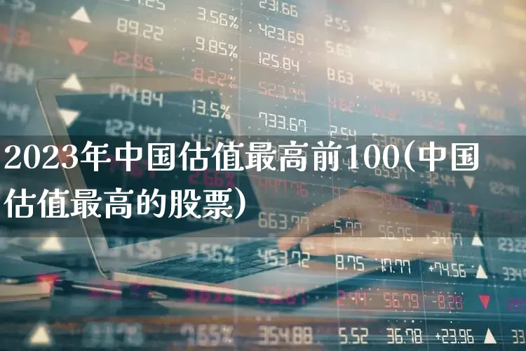 2023年中国估值最高前100(中国估值最高的股票)_https://www.hhem8.com_科创板_第1张