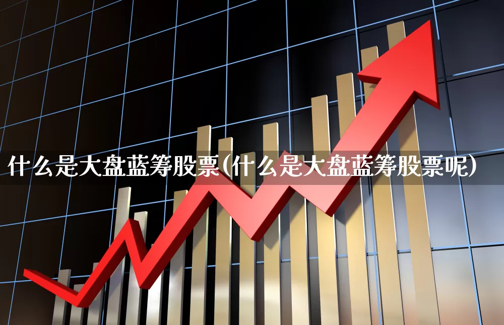 什么是大盘蓝筹股票(什么是大盘蓝筹股票呢)_https://www.hhem8.com_创业板_第1张
