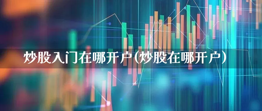 炒股入门在哪开户(炒股在哪开户)_https://www.hhem8.com_科创板_第1张
