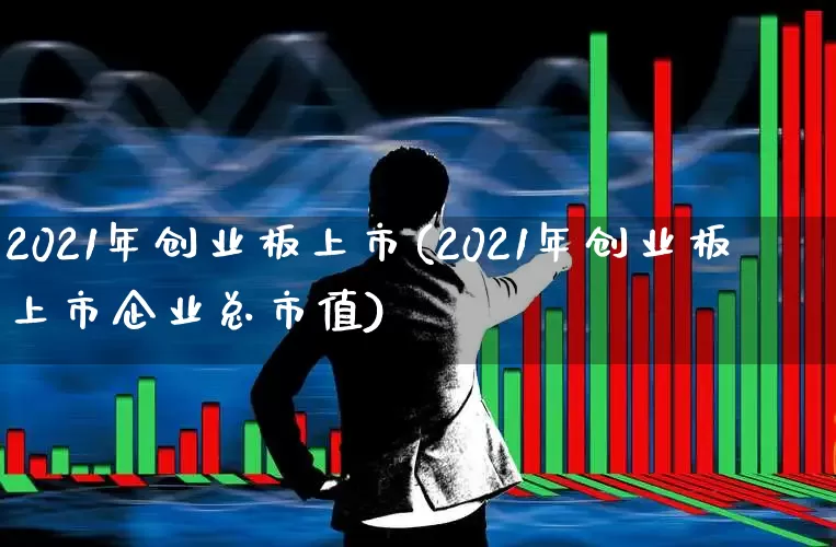 2021年创业板上市(2021年创业板上市企业总市值)_https://www.hhem8.com_上交所_第1张