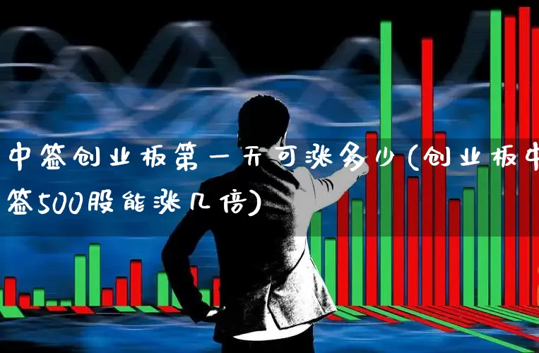 中签创业板第一天可涨多少(创业板中签500股能涨几倍)_https://www.hhem8.com_上交所_第1张