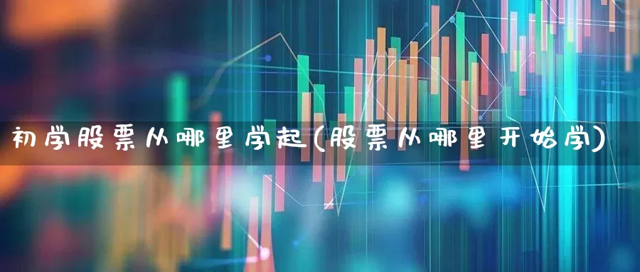 初学股票从哪里学起(股票从哪里开始学)_https://www.hhem8.com_科创板_第1张