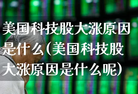 美国科技股大涨原因是什么(美国科技股大涨原因是什么呢)_https://www.hhem8.com_科创板_第1张