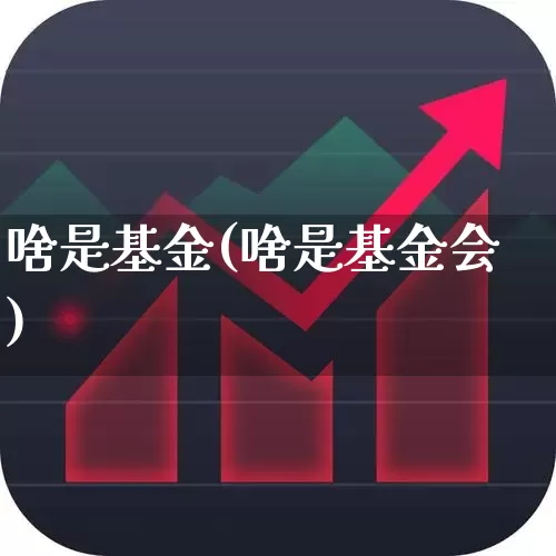 啥是基金(啥是基金会)_https://www.hhem8.com_上交所_第1张
