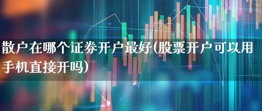 散户在哪个证券开户最好(股票开户可以用手机直接开吗)_https://www.hhem8.com_科创板_第1张