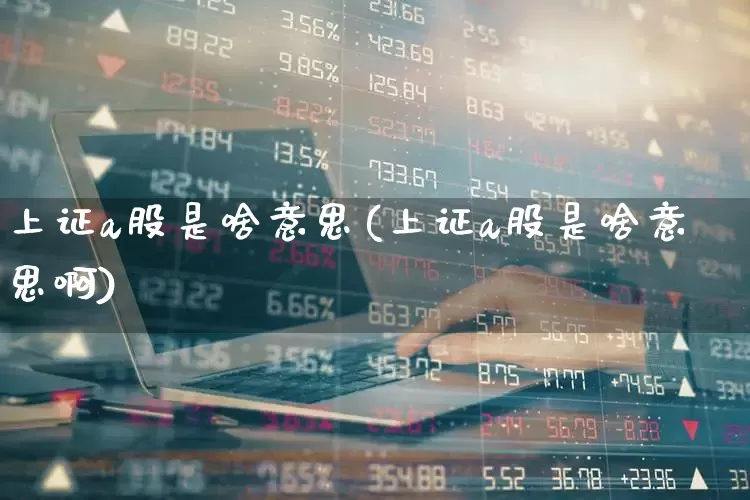 上证a股是啥意思(上证a股是啥意思啊)_https://www.hhem8.com_科创板_第1张