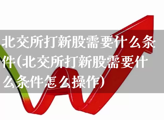 北交所打新股需要什么条件(北交所打新股需要什么条件怎么操作)_https://www.hhem8.com_深交所_第1张