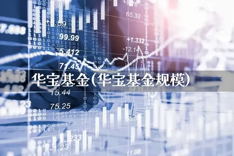 华宝基金(华宝基金规模)_https://www.hhem8.com_科创板_第1张