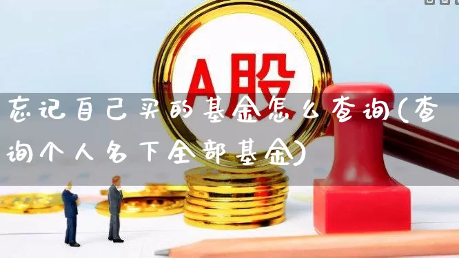 忘记自己买的基金怎么查询(查询个人名下全部基金)_https://www.hhem8.com_上交所_第1张