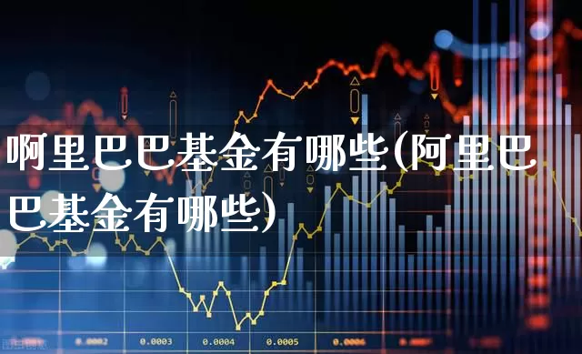 啊里巴巴基金有哪些(阿里巴巴基金有哪些)_https://www.hhem8.com_上交所_第1张