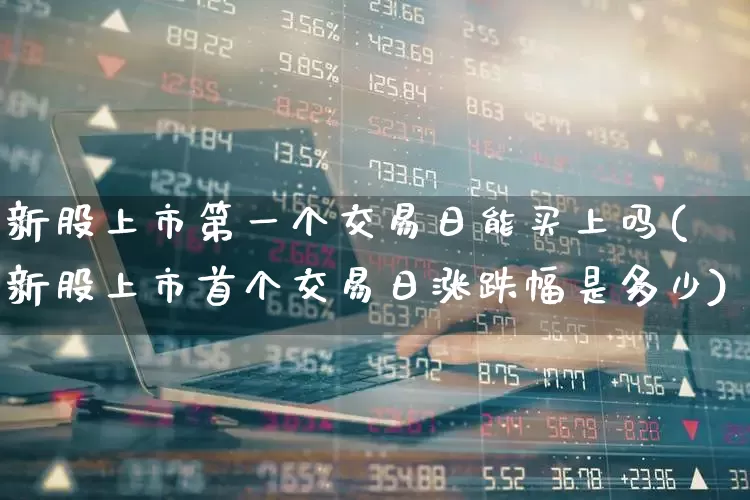 新股上市第一个交易日能买上吗(新股上市首个交易日涨跌幅是多少)_https://www.hhem8.com_科创板_第1张