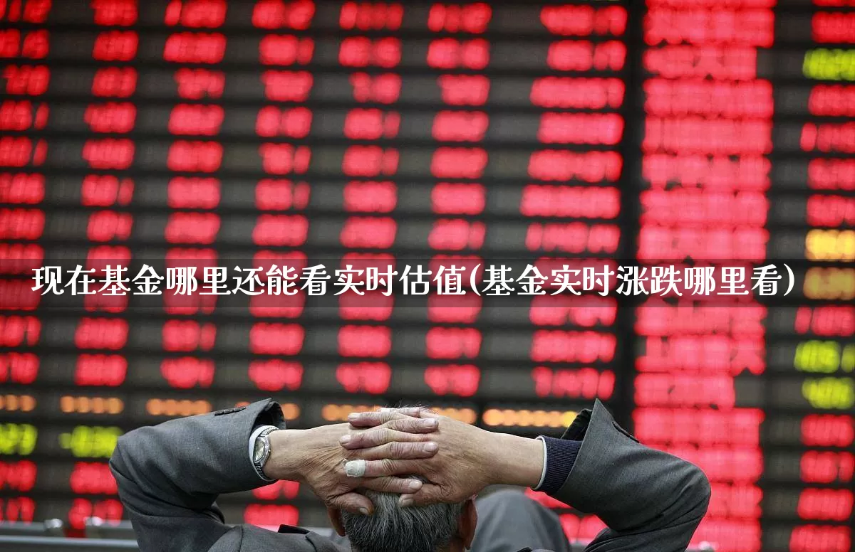 现在基金哪里还能看实时估值(基金实时涨跌哪里看)_https://www.hhem8.com_上交所_第1张