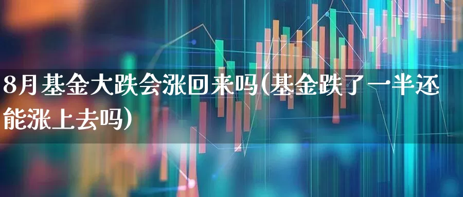 8月基金大跌会涨回来吗(基金跌了一半还能涨上去吗)_https://www.hhem8.com_创业板_第1张