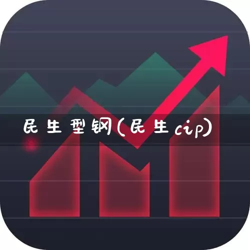 民生型钢(民生cip)_https://www.hhem8.com_上交所_第1张