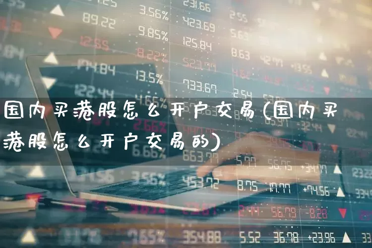 国内买港股怎么开户交易(国内买港股怎么开户交易的)_https://www.hhem8.com_北交所_第1张