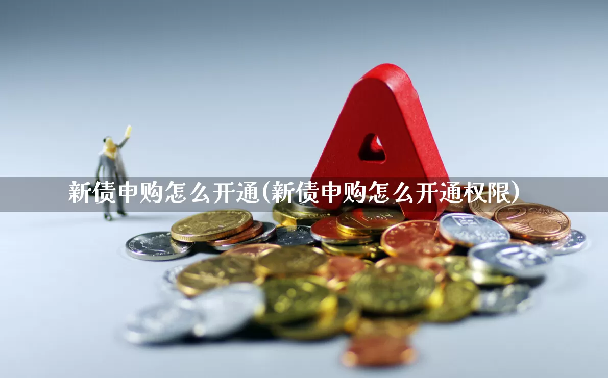 新债申购怎么开通(新债申购怎么开通权限)_https://www.hhem8.com_北交所_第1张