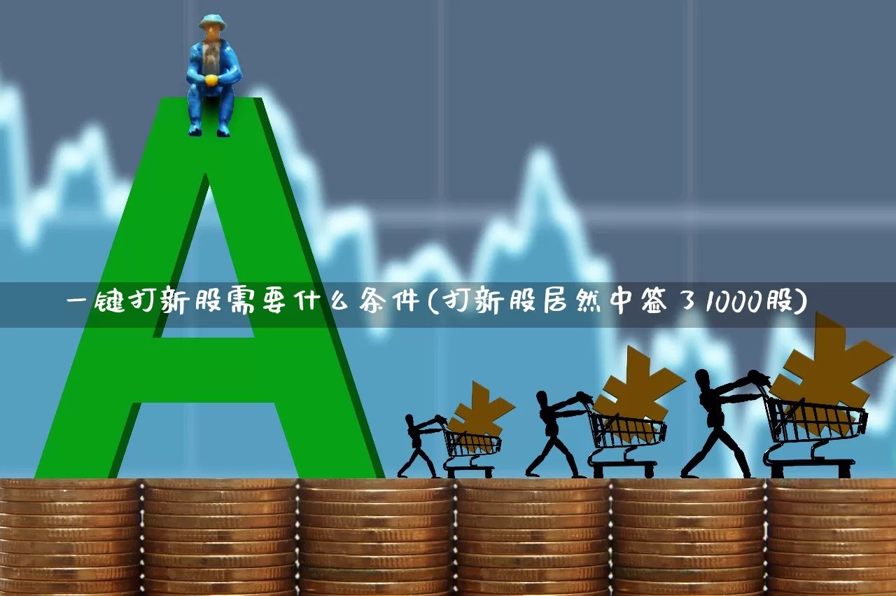 一键打新股需要什么条件(打新股居然中签了1000股)_https://www.hhem8.com_科创板_第1张