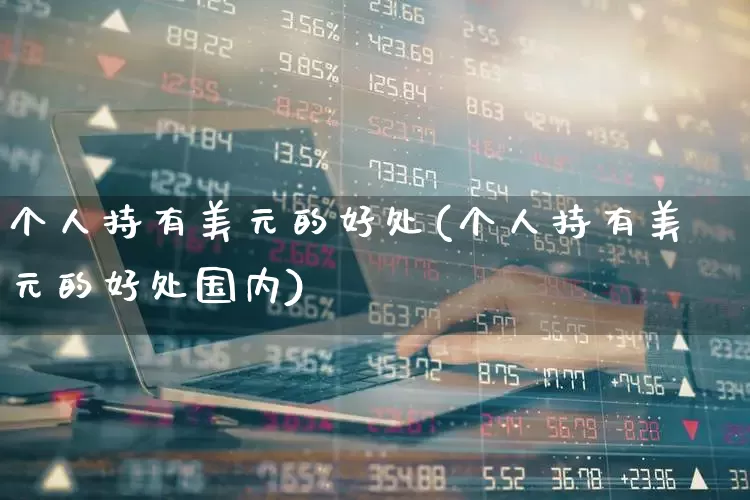 个人持有美元的好处(个人持有美元的好处国内)_https://www.hhem8.com_北交所_第1张