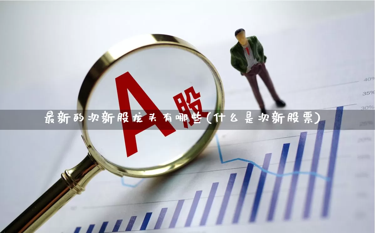 最新的次新股龙头有哪些(什么是次新股票)_https://www.hhem8.com_上交所_第1张