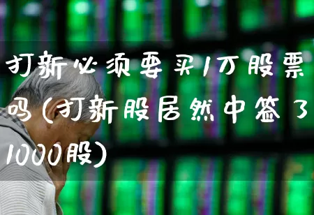 打新必须要买1万股票吗(打新股居然中签了1000股)_https://www.hhem8.com_北交所_第1张