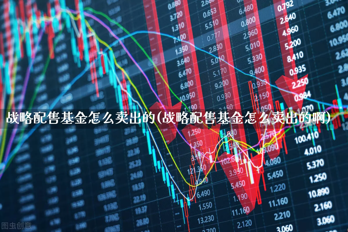 战略配售基金怎么卖出的(战略配售基金怎么卖出的啊)_https://www.hhem8.com_北交所_第1张