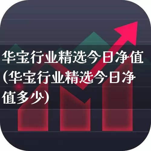 华宝行业精选今日净值(华宝行业精选今日净值多少)_https://www.hhem8.com_北交所_第1张