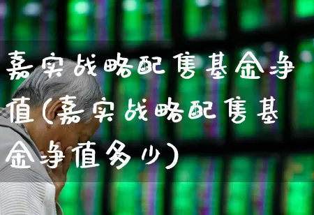嘉实战略配售基金净值(嘉实战略配售基金净值多少)_https://www.hhem8.com_创业板_第1张
