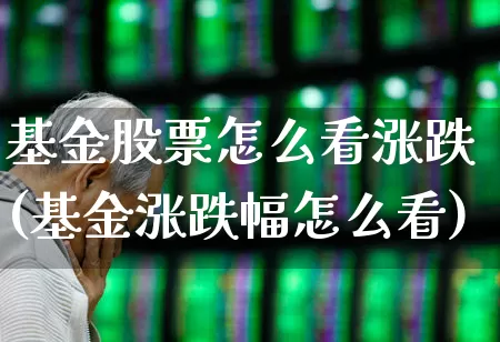 基金股票怎么看涨跌(基金涨跌幅怎么看)_https://www.hhem8.com_科创板_第1张