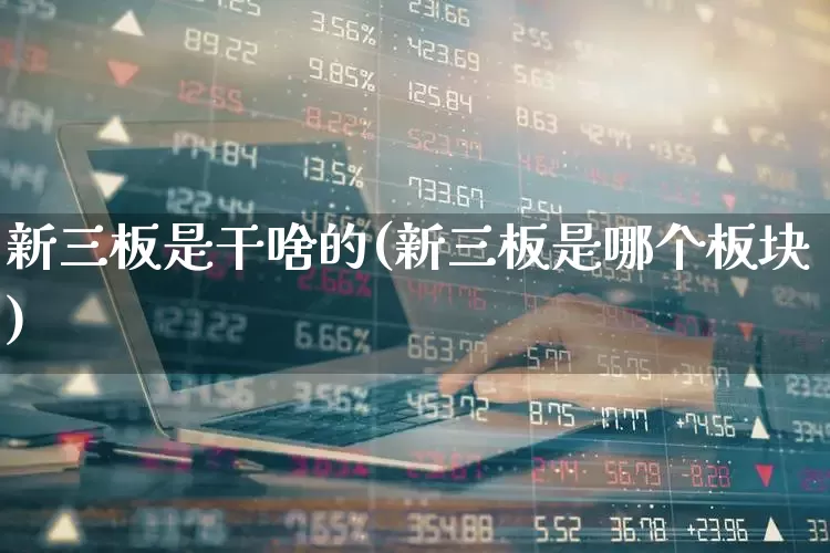新三板是干啥的(新三板是哪个板块)_https://www.hhem8.com_深交所_第1张