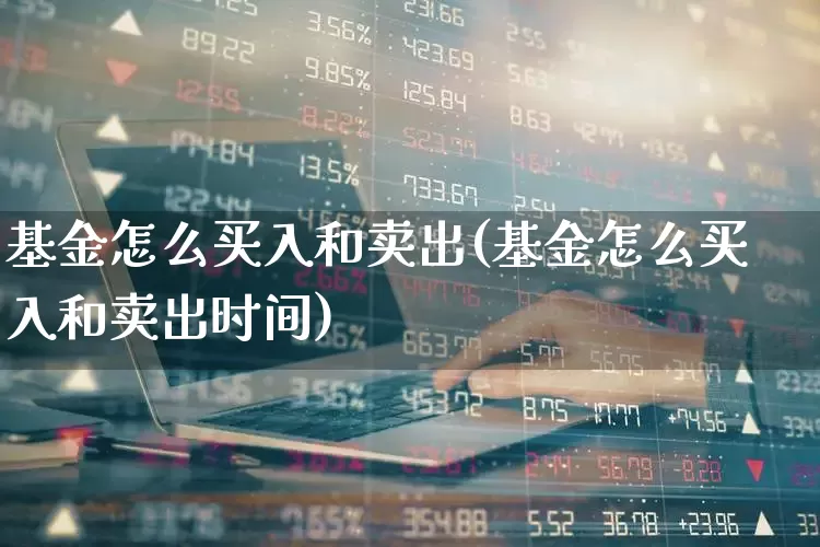 基金怎么买入和卖出(基金怎么买入和卖出时间)_https://www.hhem8.com_深交所_第1张