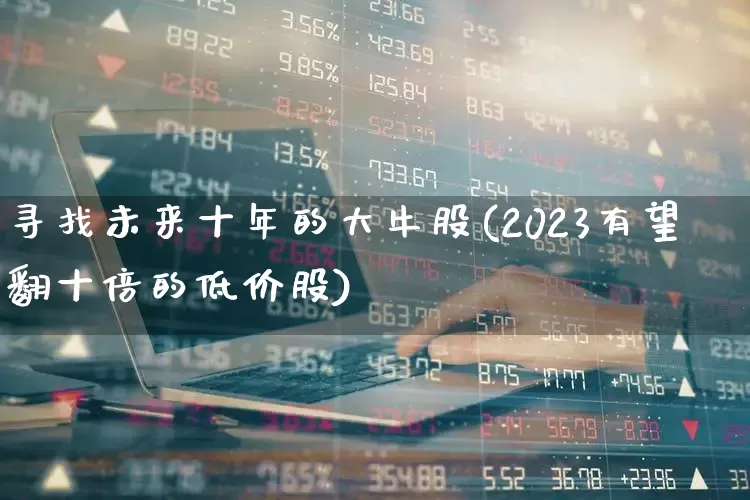 寻找未来十年的大牛股(2023有望翻十倍的低价股)_https://www.hhem8.com_上交所_第1张