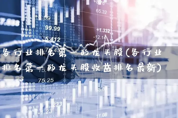 各行业排名第一的龙头股(各行业排名第一的龙头股收益排名最新)_https://www.hhem8.com_北交所_第1张