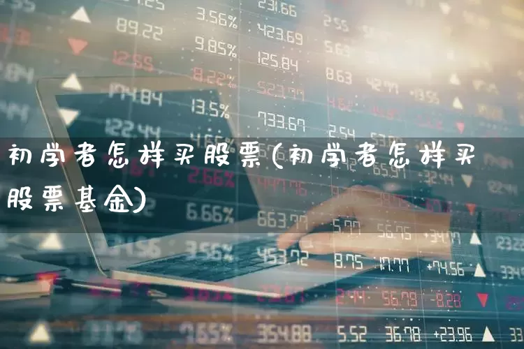 初学者怎样买股票(初学者怎样买股票基金)_https://www.hhem8.com_创业板_第1张
