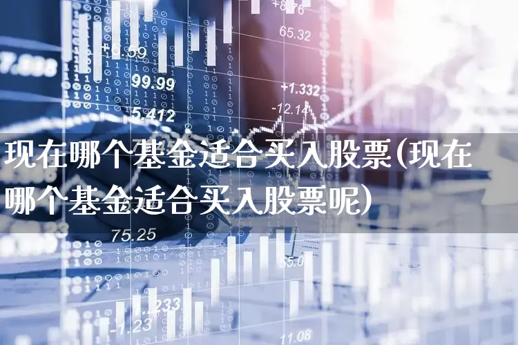 现在哪个基金适合买入股票(现在哪个基金适合买入股票呢)_https://www.hhem8.com_科创板_第1张
