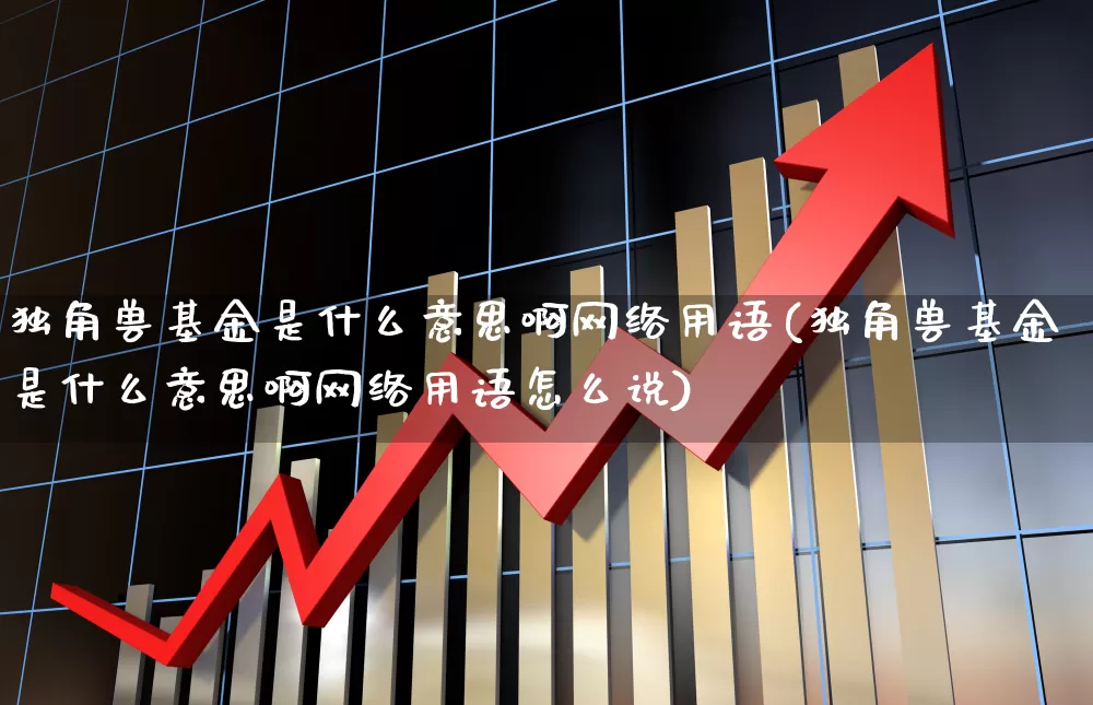 独角兽基金是什么意思啊网络用语(独角兽基金是什么意思啊网络用语怎么说)_https://www.hhem8.com_上交所_第1张