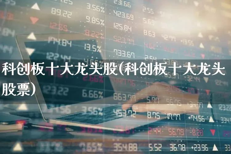 科创板十大龙头股(科创板十大龙头股票)_https://www.hhem8.com_科创板_第1张
