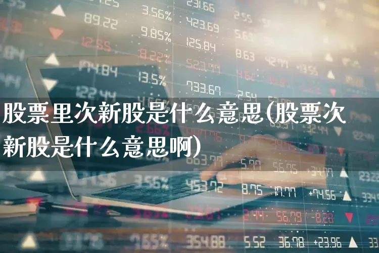 股票里次新股是什么意思(股票次新股是什么意思啊)_https://www.hhem8.com_创业板_第1张