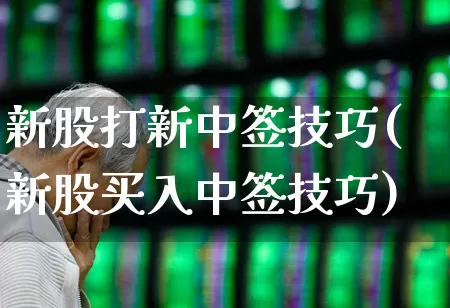 新股打新中签技巧(新股买入中签技巧)_https://www.hhem8.com_上交所_第1张