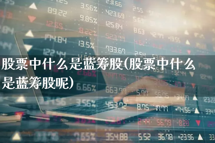 股票中什么是蓝筹股(股票中什么是蓝筹股呢)_https://www.hhem8.com_上交所_第1张
