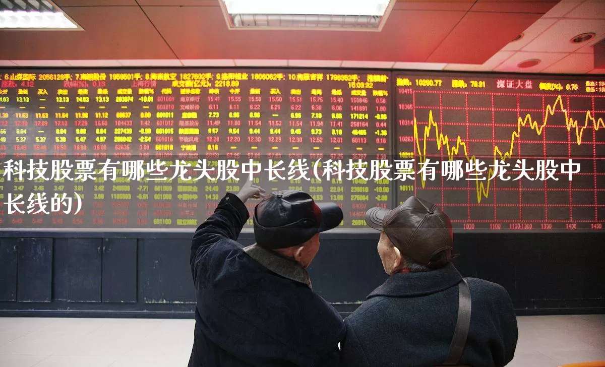 科技股票有哪些龙头股中长线(科技股票有哪些龙头股中长线的)_https://www.hhem8.com_科创板_第1张