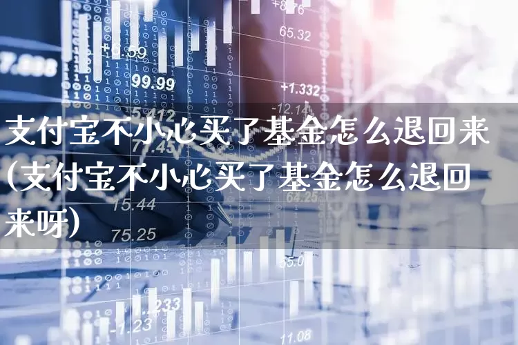 支付宝不小心买了基金怎么退回来(支付宝不小心买了基金怎么退回来呀)_https://www.hhem8.com_创业板_第1张