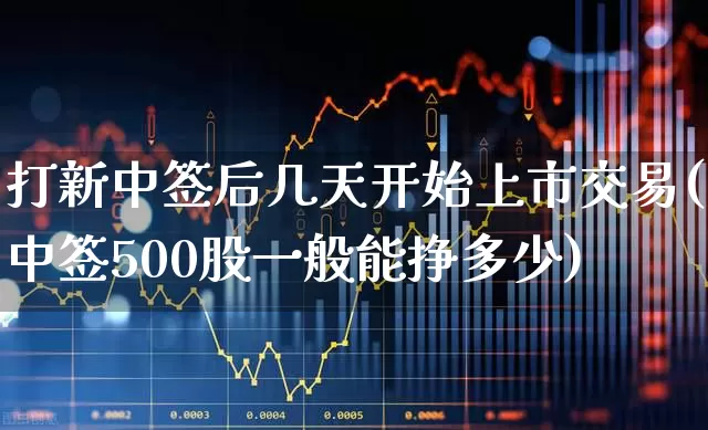 打新中签后几天开始上市交易(中签500股一般能挣多少)_https://www.hhem8.com_创业板_第1张