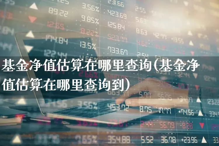 基金净值估算在哪里查询(基金净值估算在哪里查询到)_https://www.hhem8.com_科创板_第1张