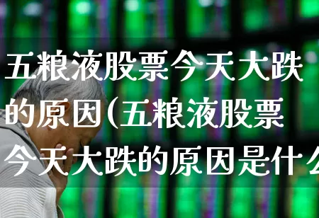 五粮液股票今天大跌的原因(五粮液股票今天大跌的原因是什么)_https://www.hhem8.com_科创板_第1张