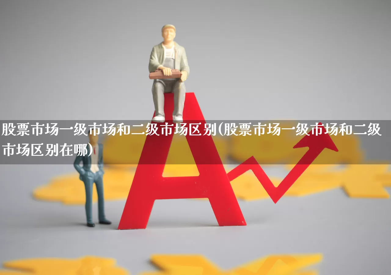 股票市场一级市场和二级市场区别(股票市场一级市场和二级市场区别在哪)_https://www.hhem8.com_上交所_第1张