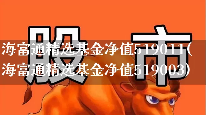 海富通精选基金净值519011(海富通精选基金净值519003)_https://www.hhem8.com_科创板_第1张