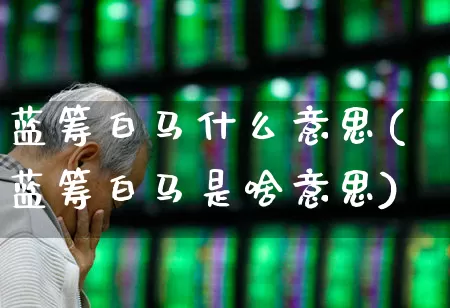 蓝筹白马什么意思(蓝筹白马是啥意思)_https://www.hhem8.com_科创板_第1张