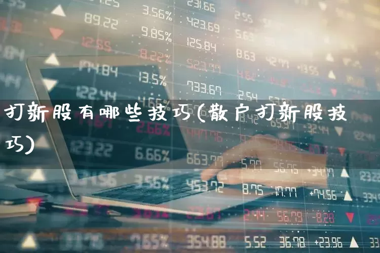 打新股有哪些技巧(散户打新股技巧)_https://www.hhem8.com_北交所_第1张